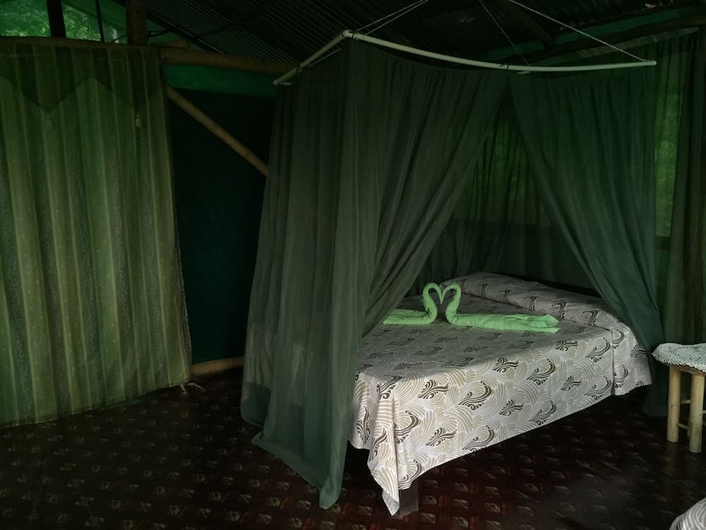 Isla Violin Eco Lodge