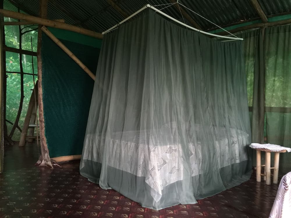 Isla Violin Eco Lodge