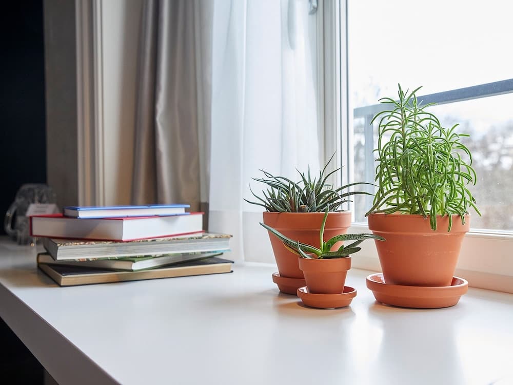 Boutique Hotel Anker