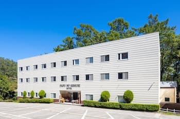 Hakuba PAIPU NO KEMURI