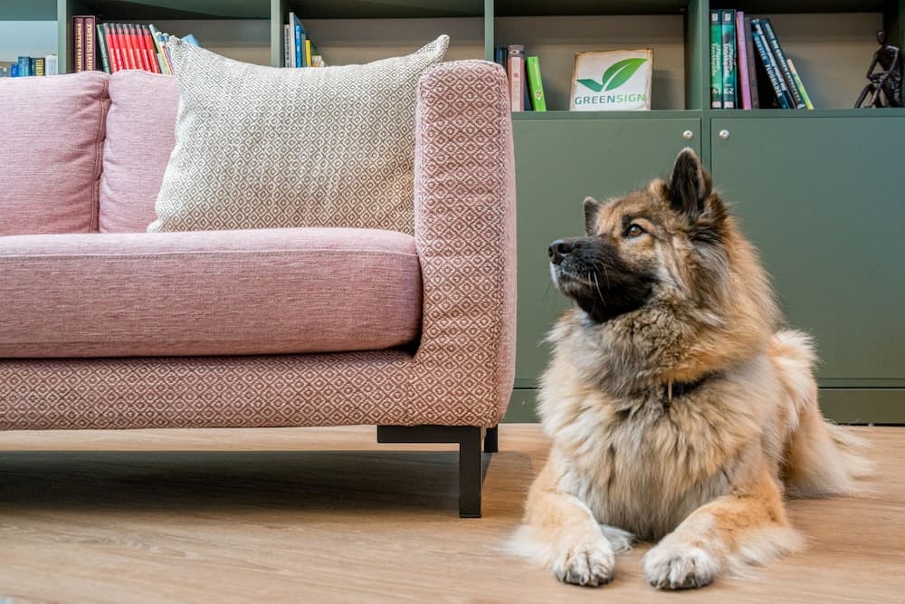 KOOS Hotel&Apartments