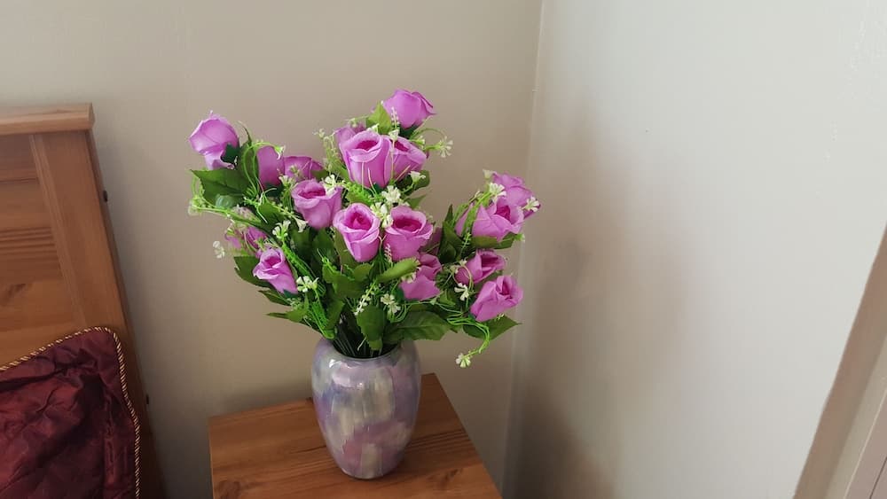 Cambridge Inn: Central Self-Catering Cottage