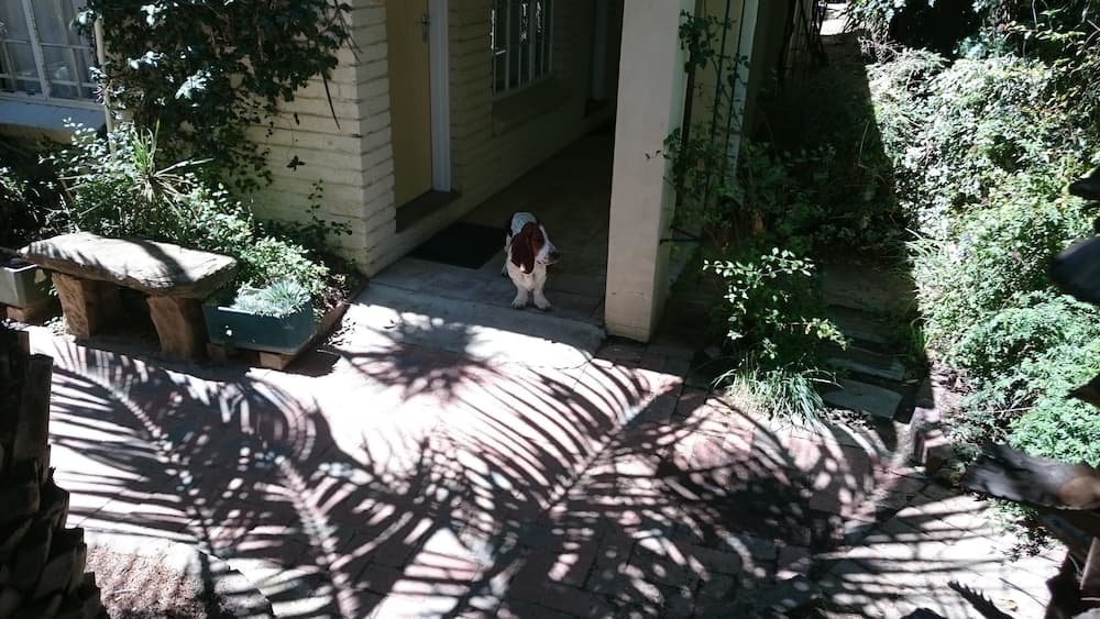 Ladybrand Guest House