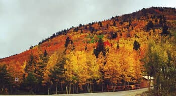 Villa on the Green 2 Bedroom Holiday Home By Pinon Vacation Rentals