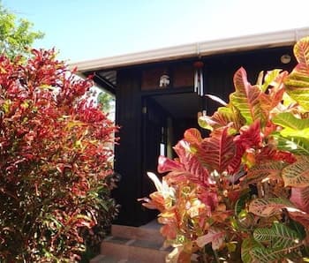 Posada Come So In The Bush