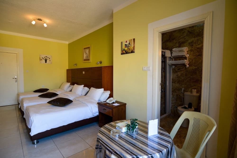 Amir Palace Hotel- Aqaba