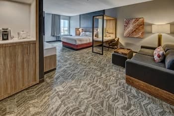 Springhill Suites by Marriott Amarillo