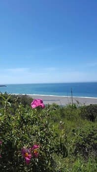 Surf Watch 3 Bedroom Home