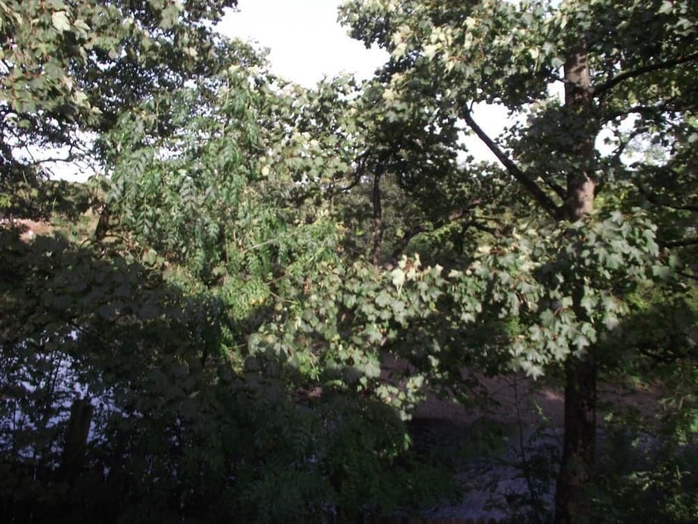 Dalgarven House Hotel