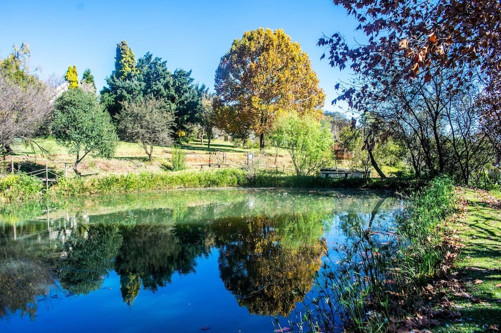 Budmarsh Country Lodge