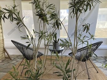 Ninemia Suites & Open air Spa