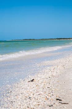 South Seas Tower 3 1005