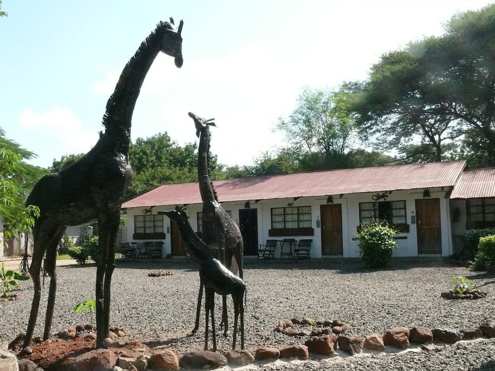 Zig Zag Town Lodge - Hostel