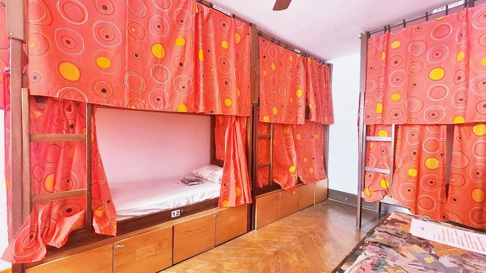 Red Monkey Hostel: Barra Funda