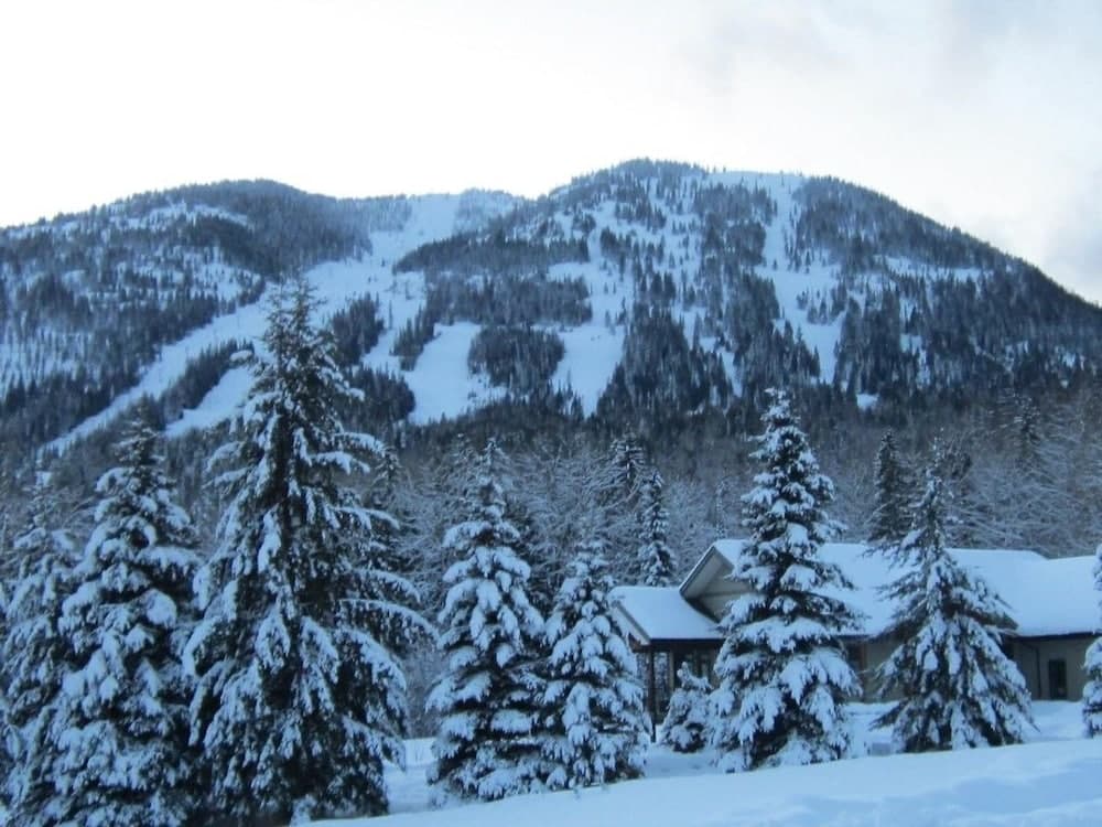 Mountain Town Properties Black Jack's Flat