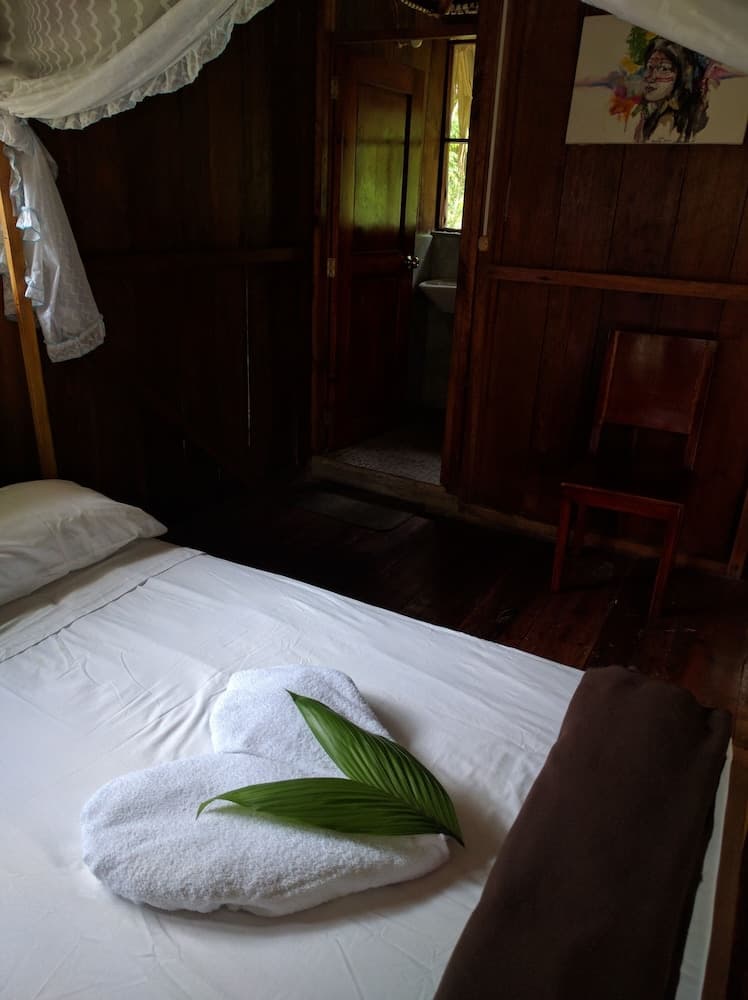 Green forest Ecolodge