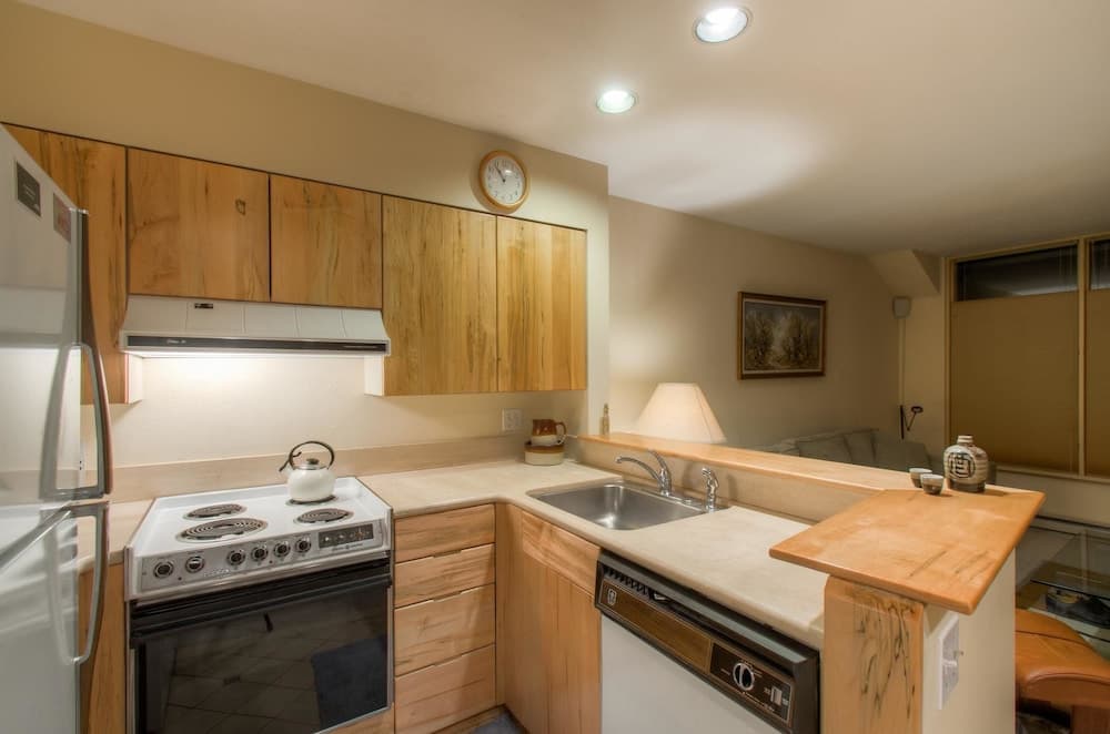 Muscatel Flats 20 1 Bedroom Condo By Accommodations in Telluride