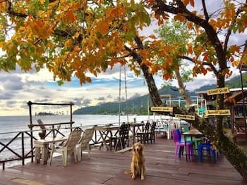 Kohchang7 Guest House