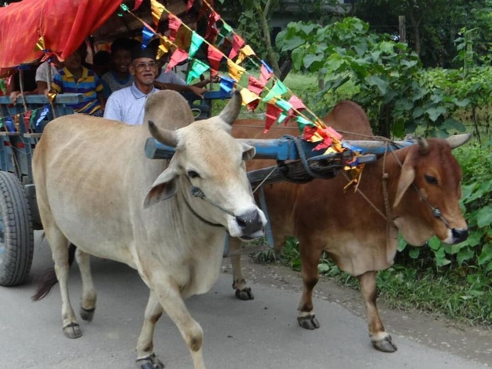 Tharu 20for7 Holiday House