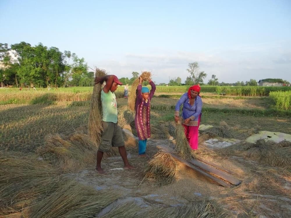 Tharu 20for7 Holiday House