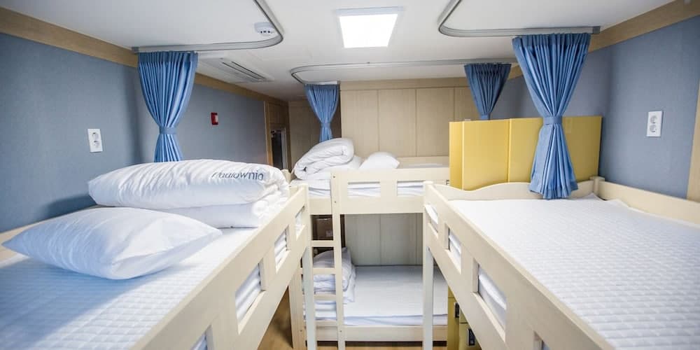 Paulownia Hostel & Guest House