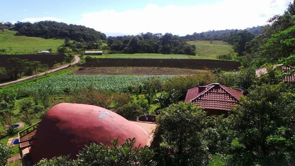 Finca Neblina del Bosque