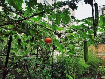 Xi'an The Facebook Youth Hostel