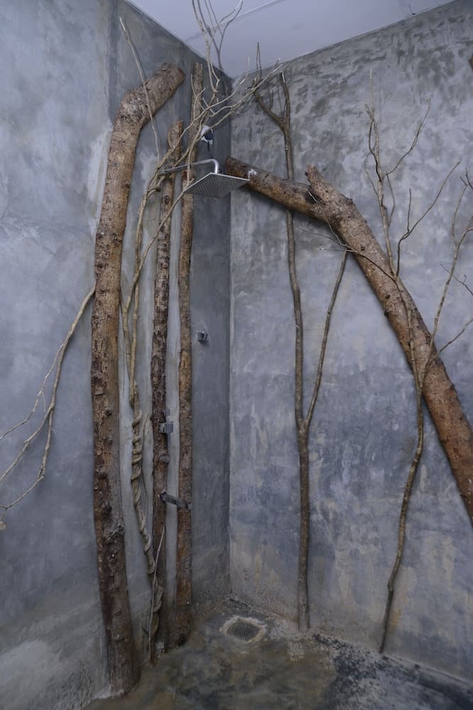 Mahagedara Wellness Retreat