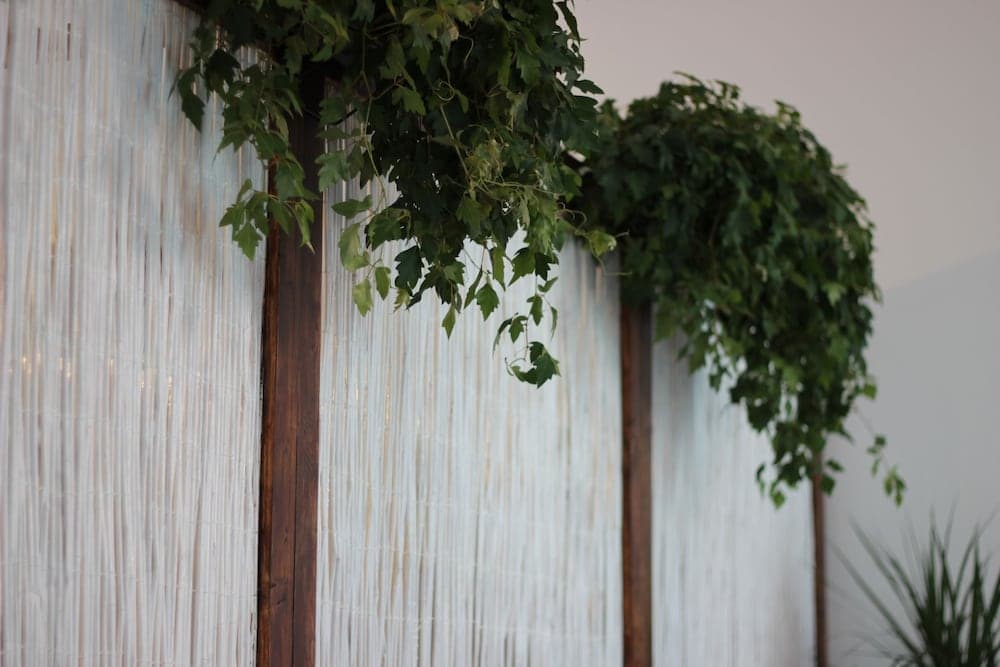 B&B Gallidoro Maqueda 124 st