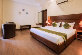 Treebo Trend Coral Tree