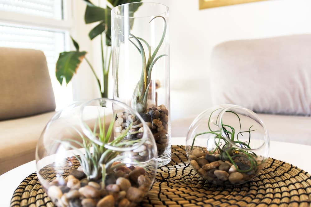 Calm Beach Haven Resort Herzliya Marina