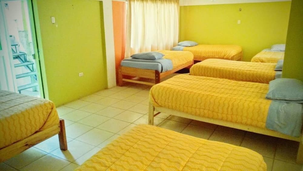 The Grasshopper Hostel