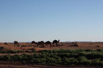 Atmospher Bivouac Desert