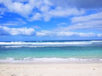 Tanna Evergreen Resort & Tours