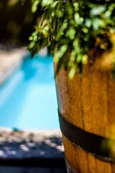 86 on Langenhoven B&B