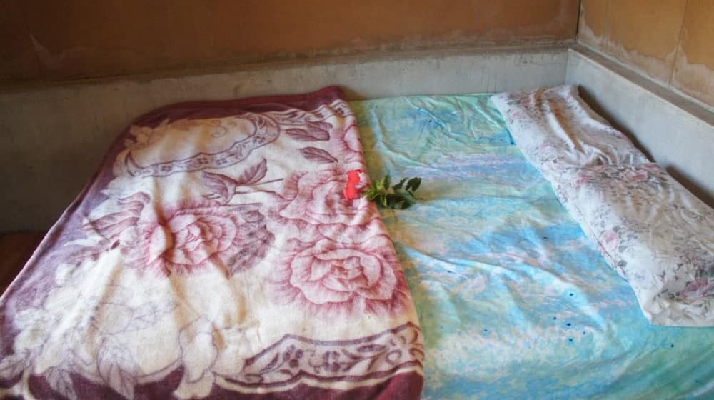 Tanna Horizon Bungalows & Tours