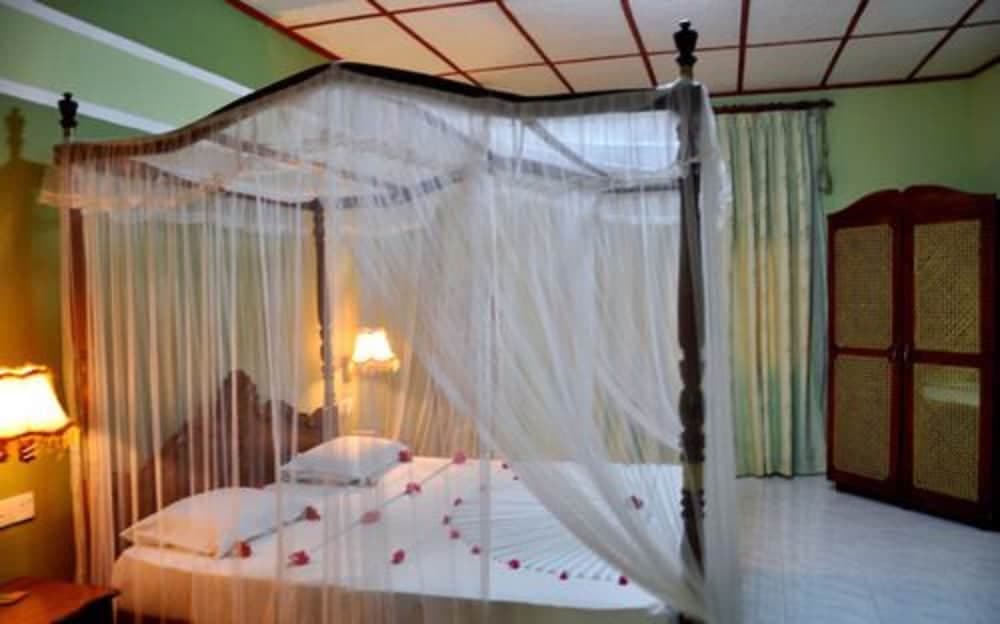 Bougain Villa by Tree