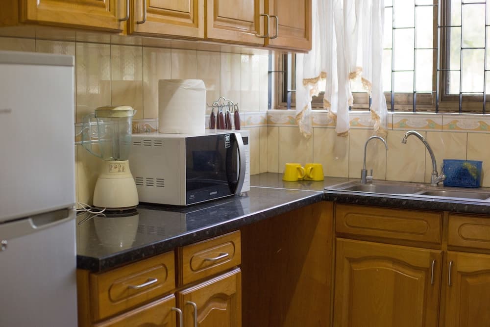 Traveller's Palm Court