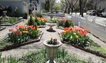 Moore House Bed and Breakfast