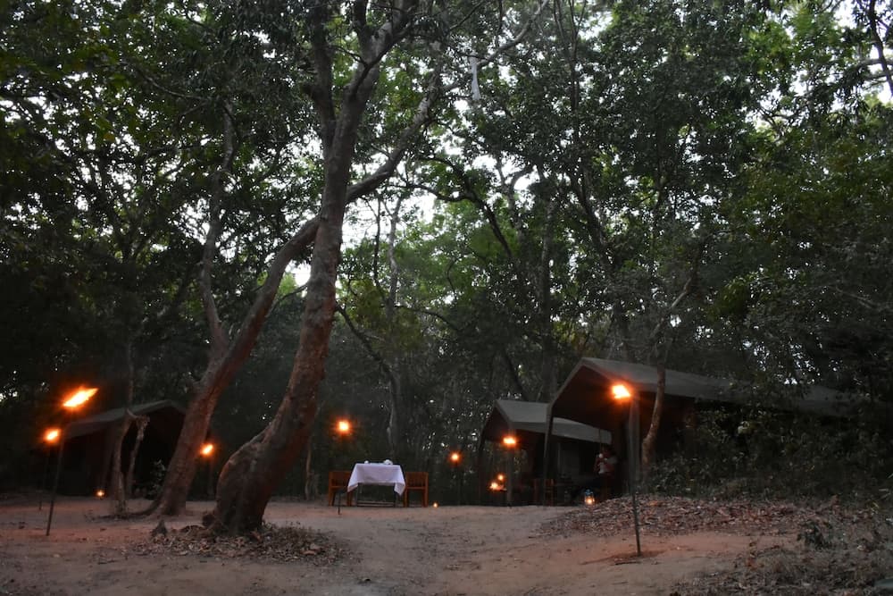 Explorer by Eco Team - Kumana National Park