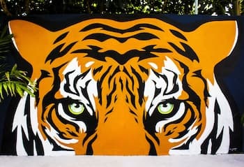 El Tigre de Santiago