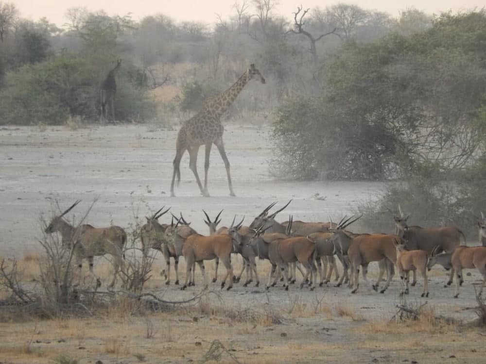 Thobolo's Bush Lodge
