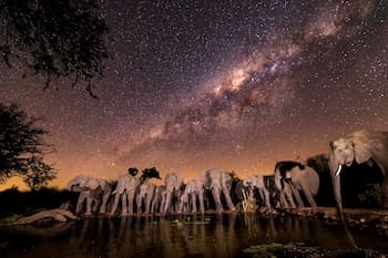 Antares Bush Camp & Safaris - Hostel