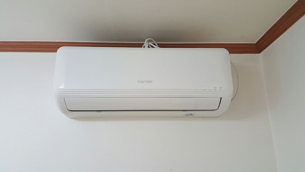 Happy Tree Guesthouse - Hostel