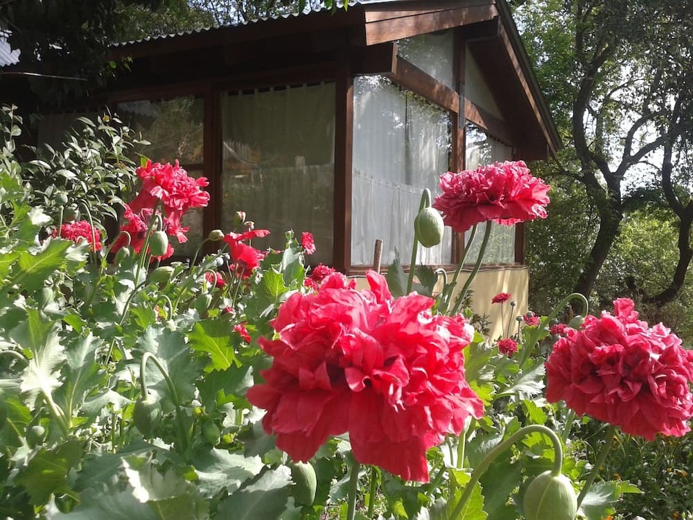 Apart Suites & Cabañas Duendes del Pungo