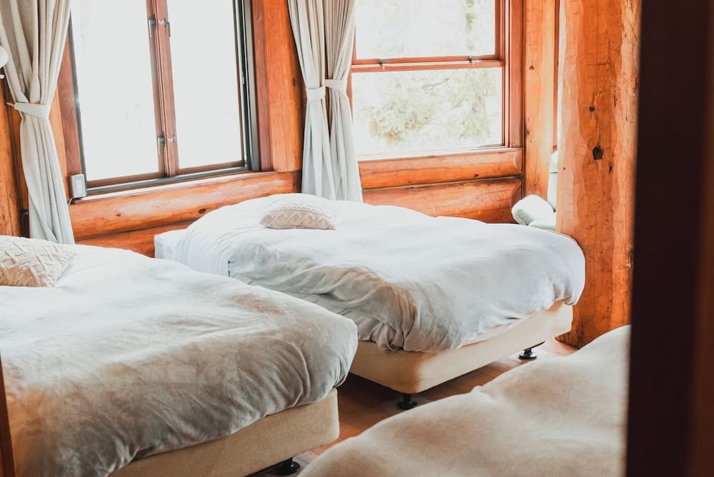 Hakuba Log Hotel Meteor