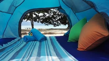 Tropical Eco Camping