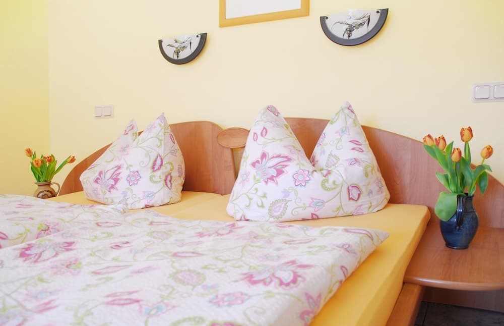 Pension Alter Zausel