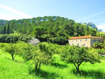 Quinta de Rio Alcaide