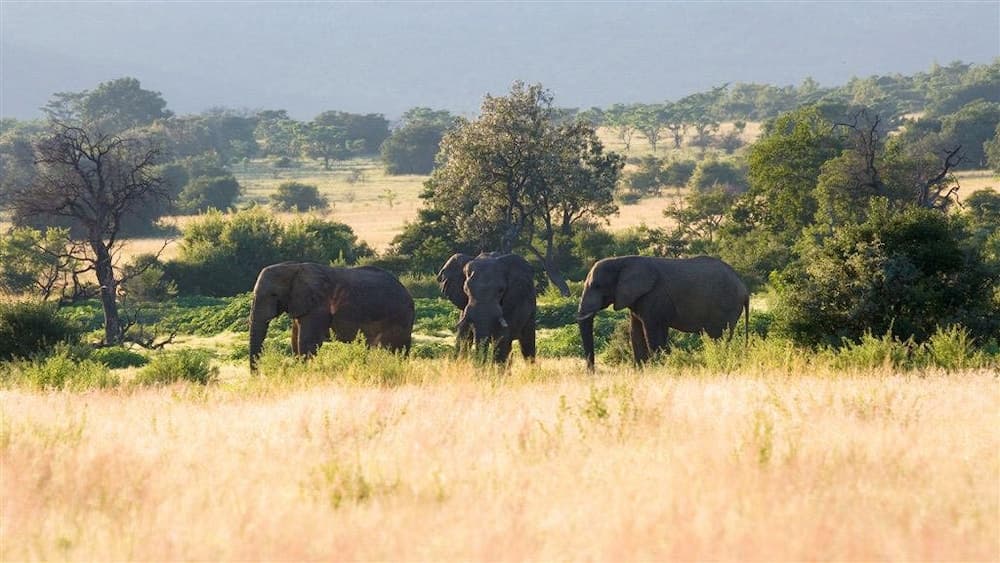 Nungubane Game Lodge